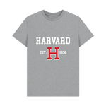 Athletic Grey Printed T-shirt