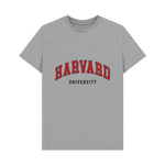 Athletic Grey Printed T-shirt