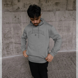 Park Fields Florida Collegiate  Grey Hoodie