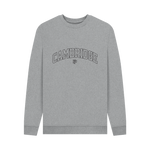 Light Heather Printed Sweater Front
