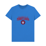 Bright Blue Printed T-shirt