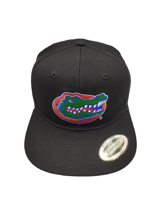 Florida Gators Embroidered  Black Cap