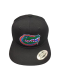 Florida Gators Embroidered  Black Cap