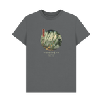 Slate Grey Printed T-shirt Front