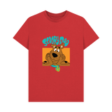 Red Printed T-shirt Front