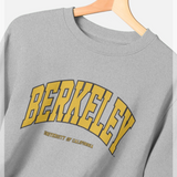 Park Fields Berkeley University of California Arch Grey Sweatshirt