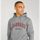 Harvard University Script Graphic Grey Hoodie