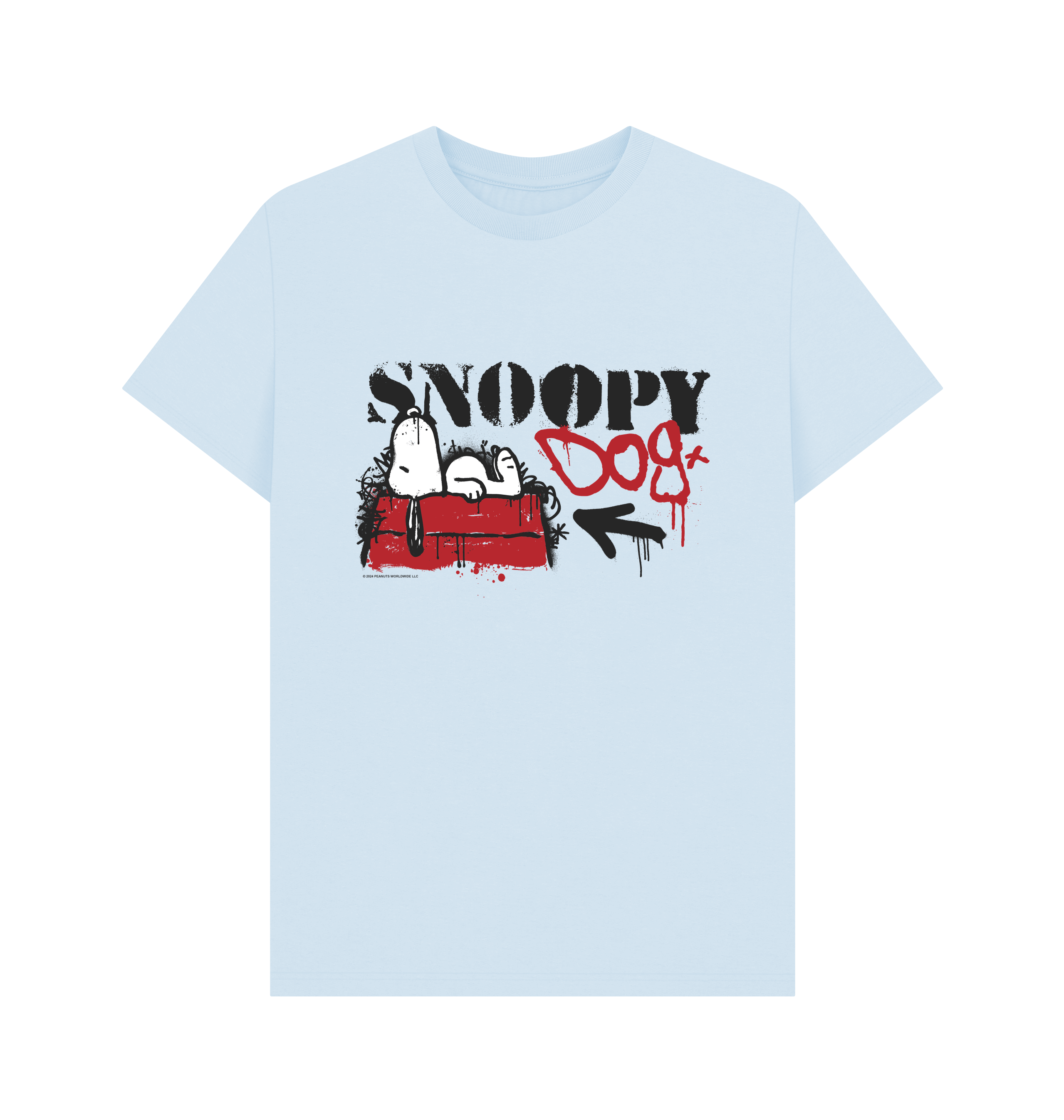 Sky Blue Printed T-shirt Front