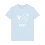 Sky Blue Printed T-shirt Front