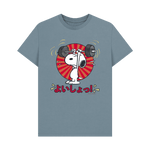 Stone Blue Printed T-shirt Front