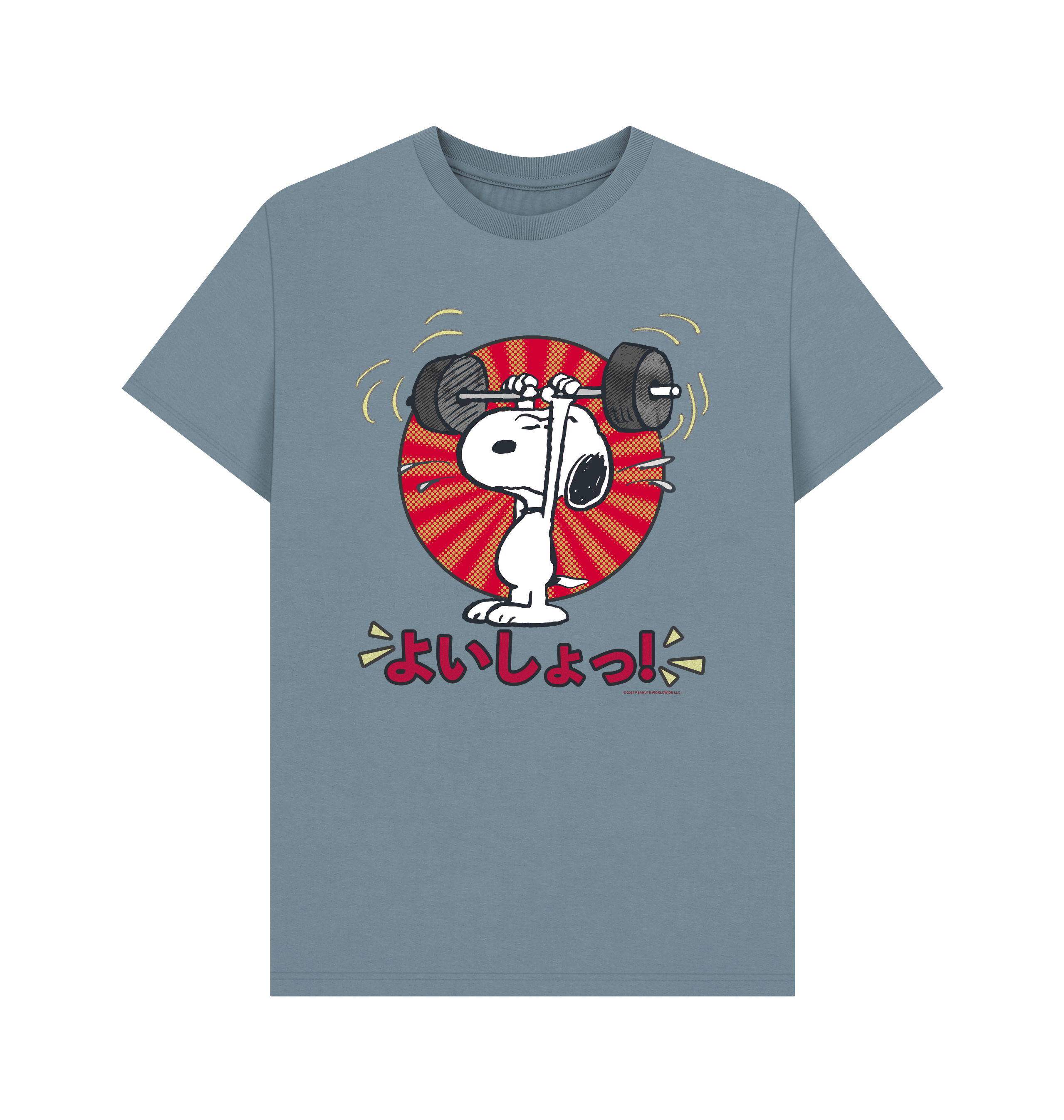 Stone Blue Printed T-shirt Front